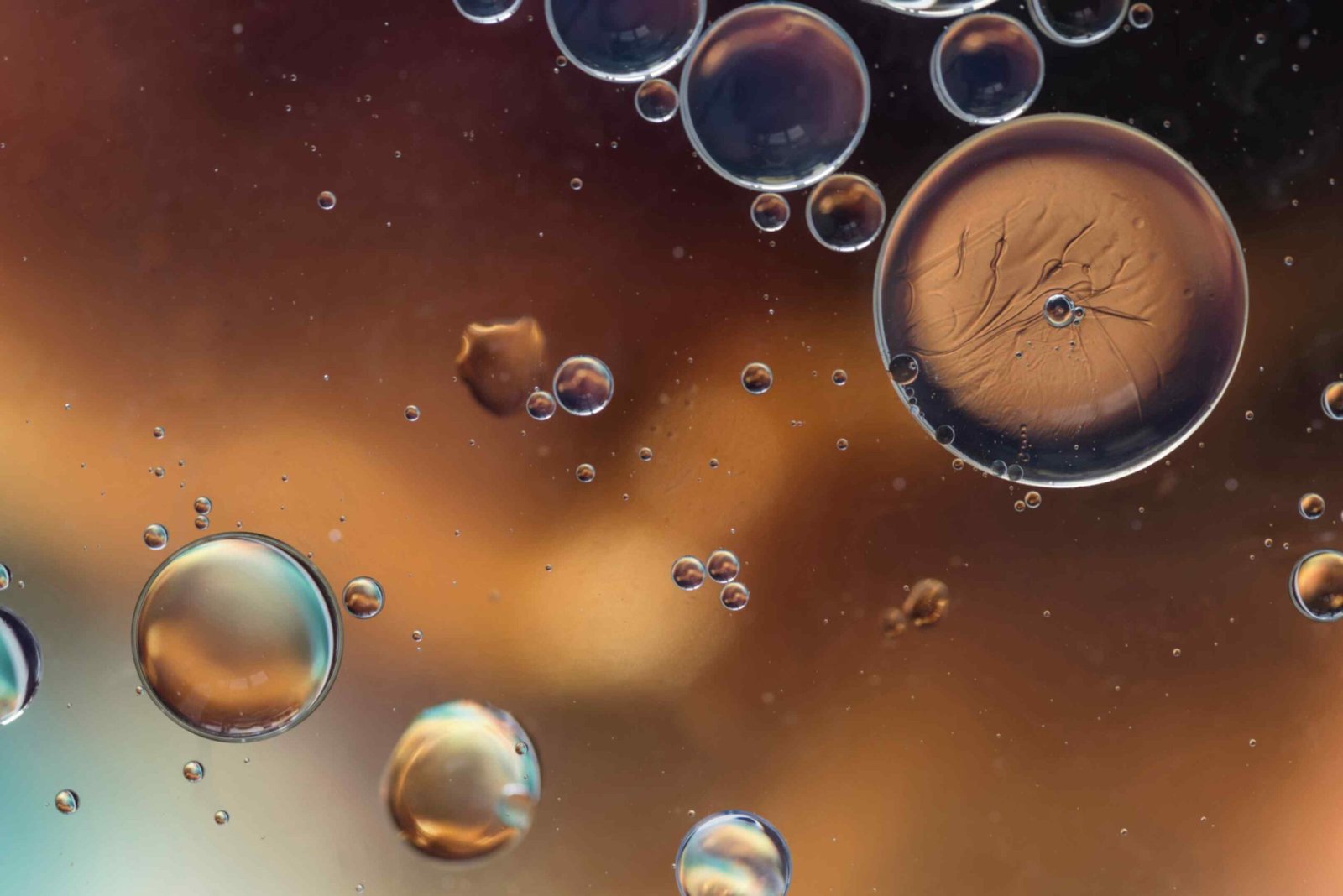 jpeg-optimizer_dark-brown-abstract-background-with-bubbles